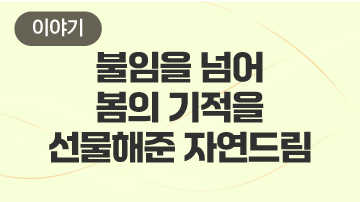 불임을 넘어 봄의 기적을 선물해준 자연드림