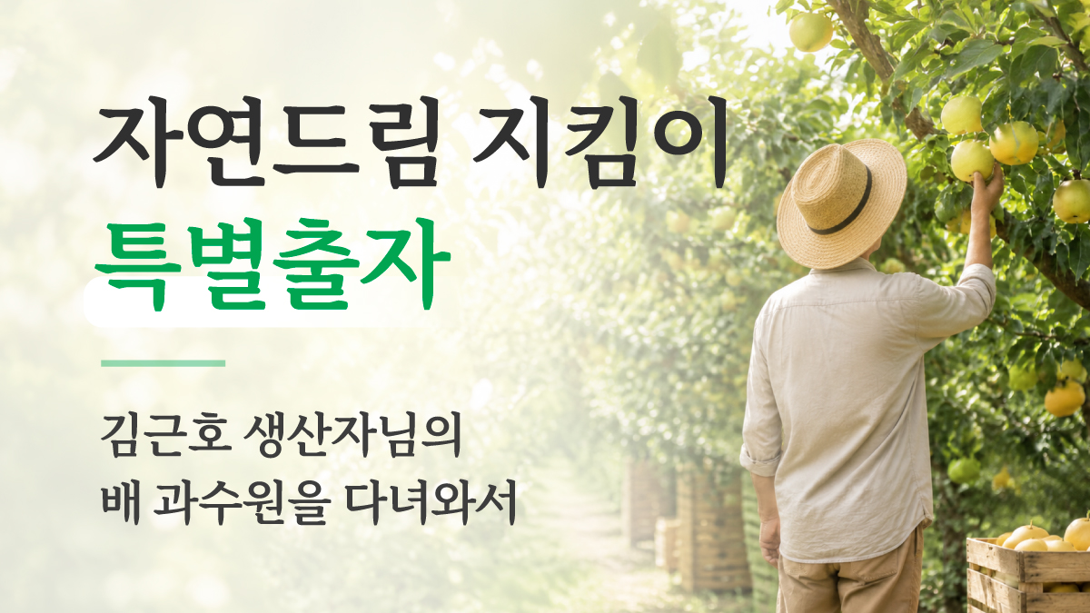 김근호 생산자님의 배 과수원을 다녀와서